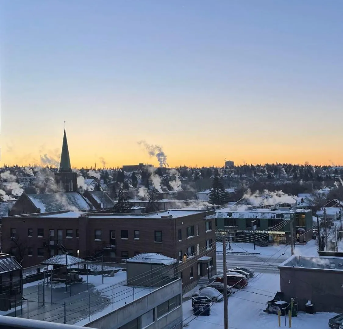 Homestay Cosy Place In Downtown With Free Parking - Self Entrance Apartment Calgary